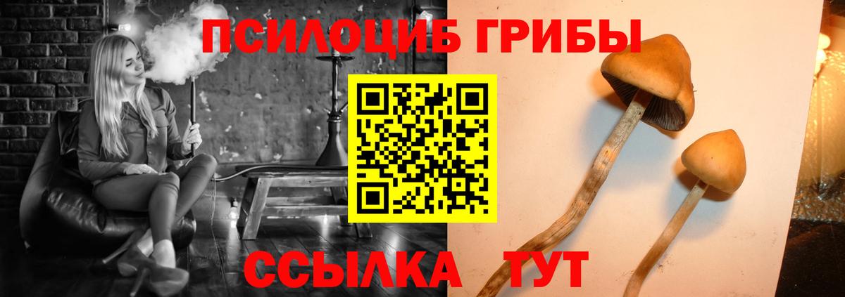 Галлюциногенные грибы Cubensis  купить закладку  Курчатов  Вход с VPN 